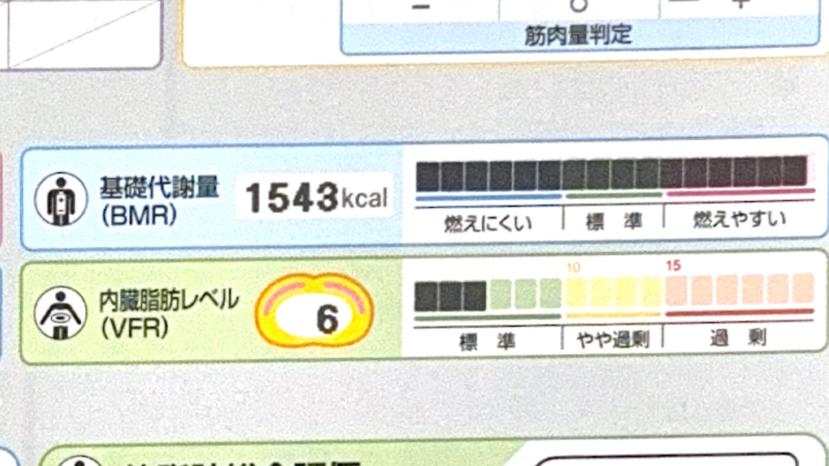 基礎代謝量計測結果